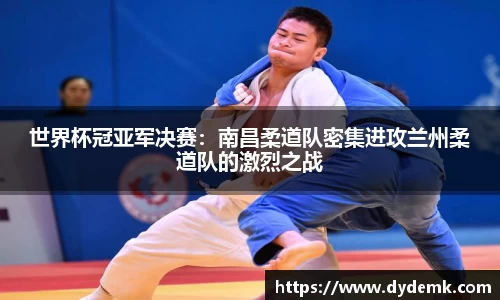 世界杯冠亚军决赛：南昌柔道队密集进攻兰州柔道队的激烈之战